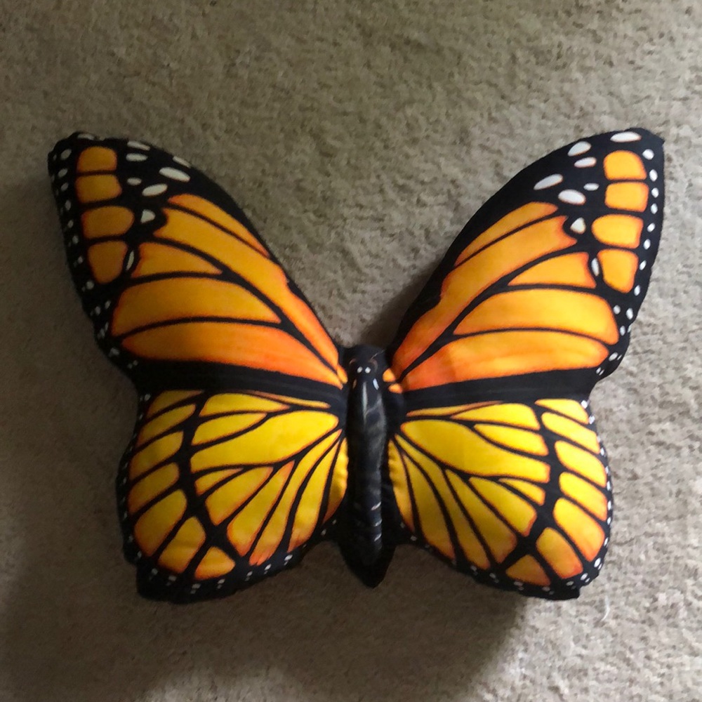 Butterfly Pillow 🦋